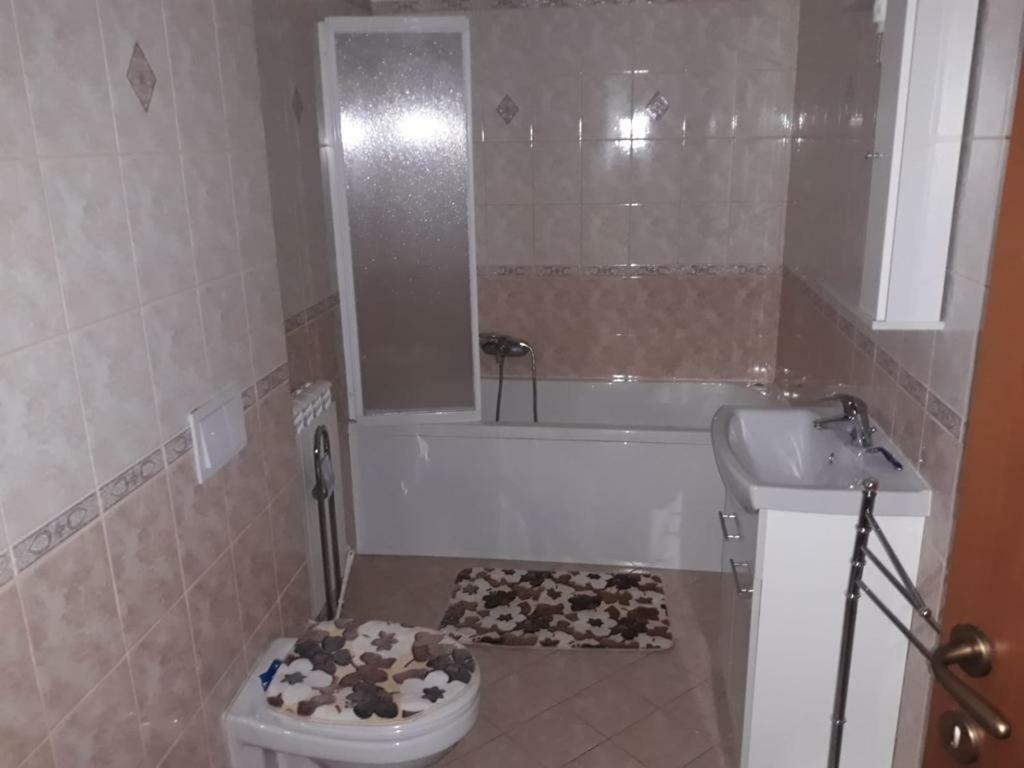 Casa Francesca Appartement Comanesti  Buitenkant foto